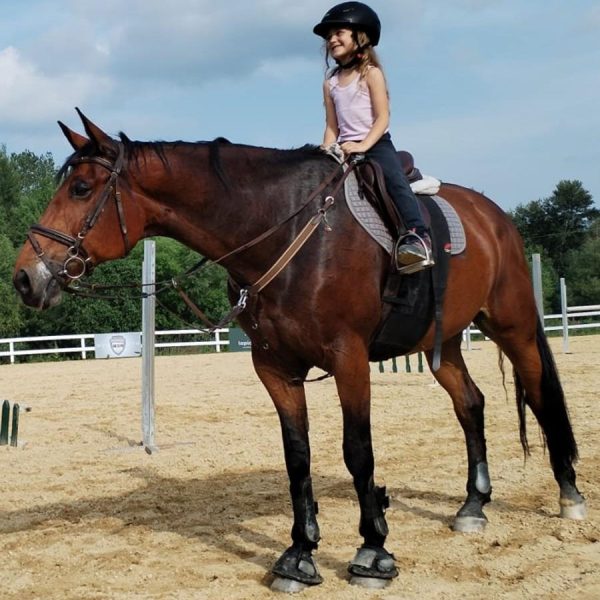 horse-riding-skopje