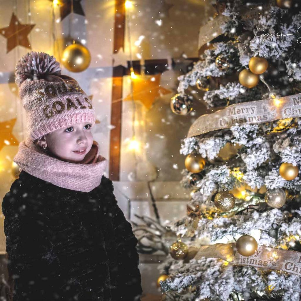 Новогодишна фотосесија