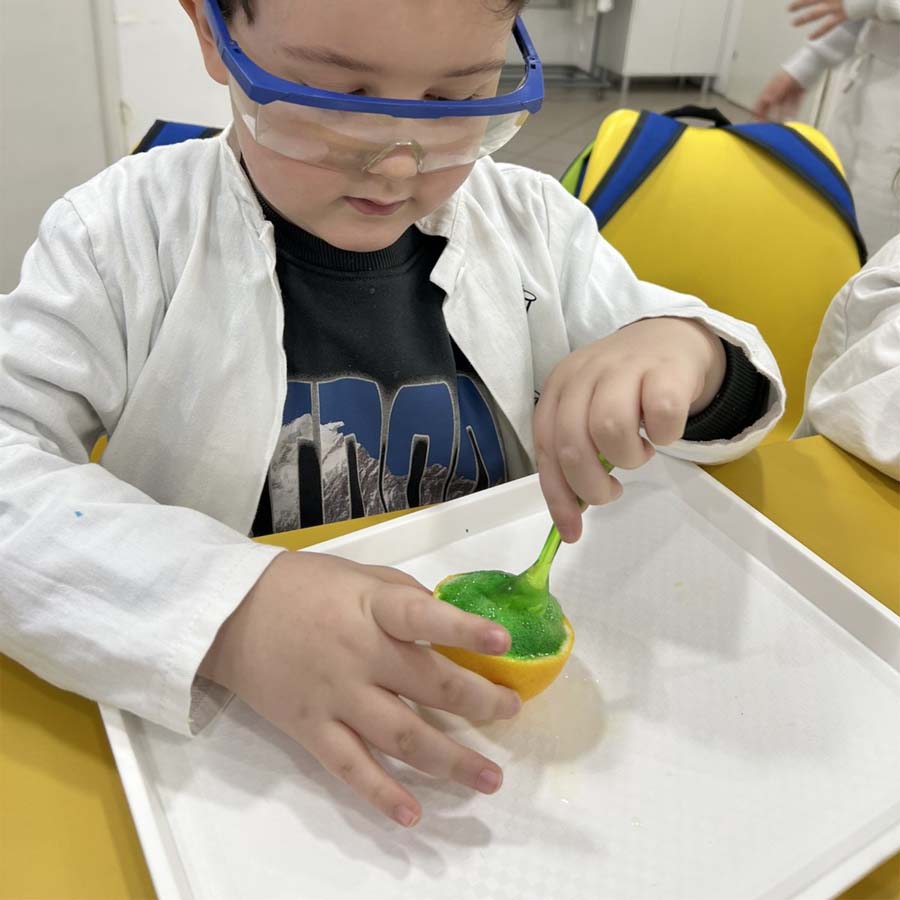 Откриј ги тајните на природата