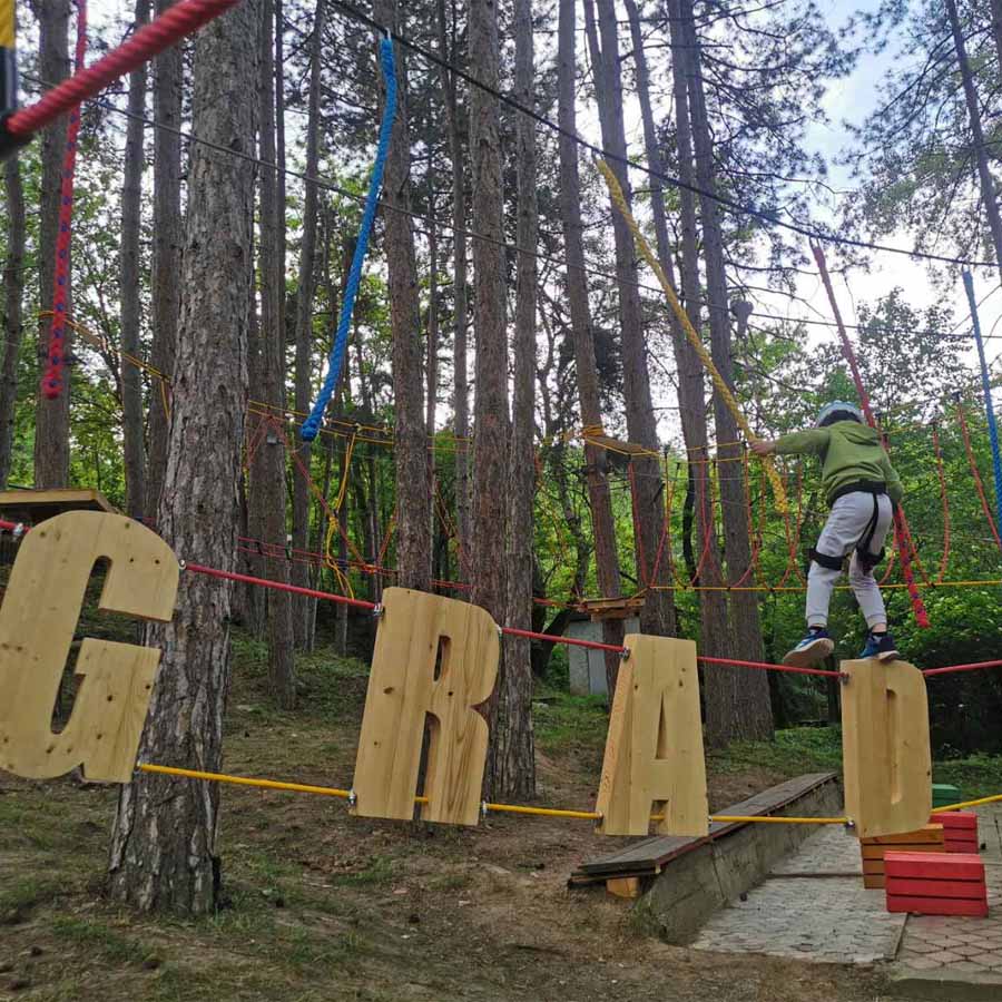 Подари доживување со срце
