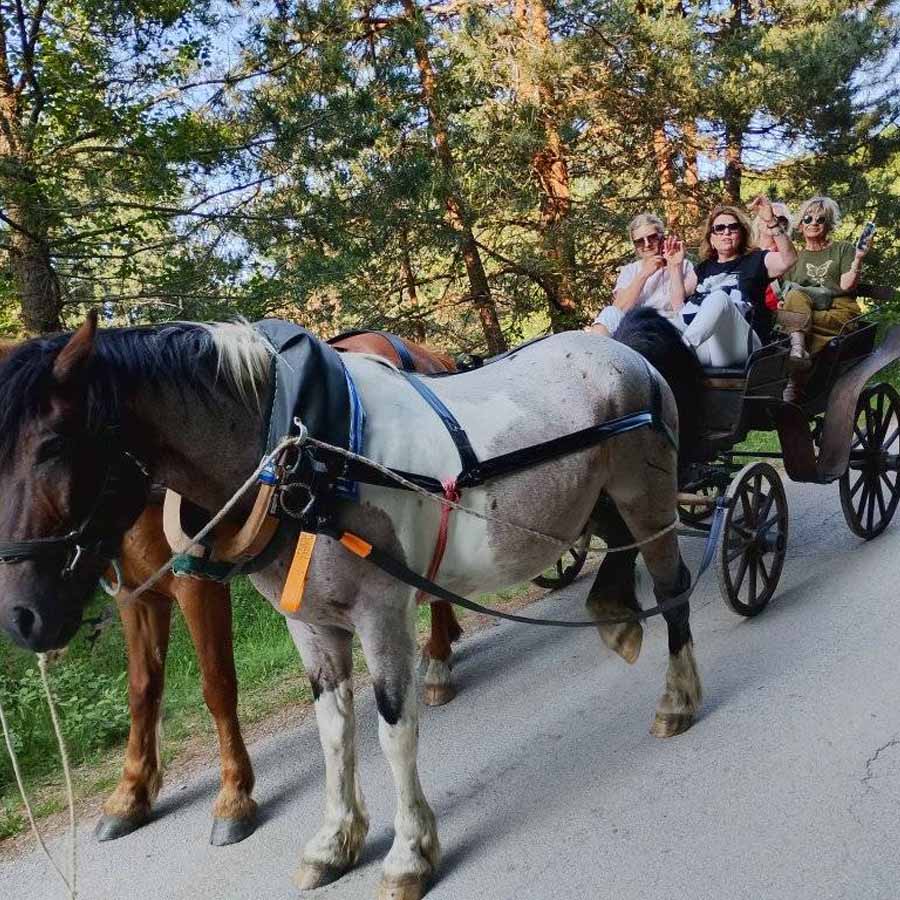 Твојот момент за вечност