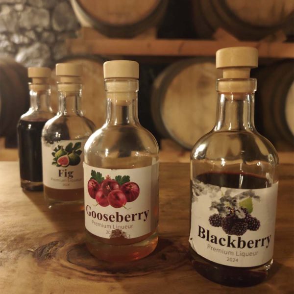 degustacija-distillery-balaklija-orman-ohrid