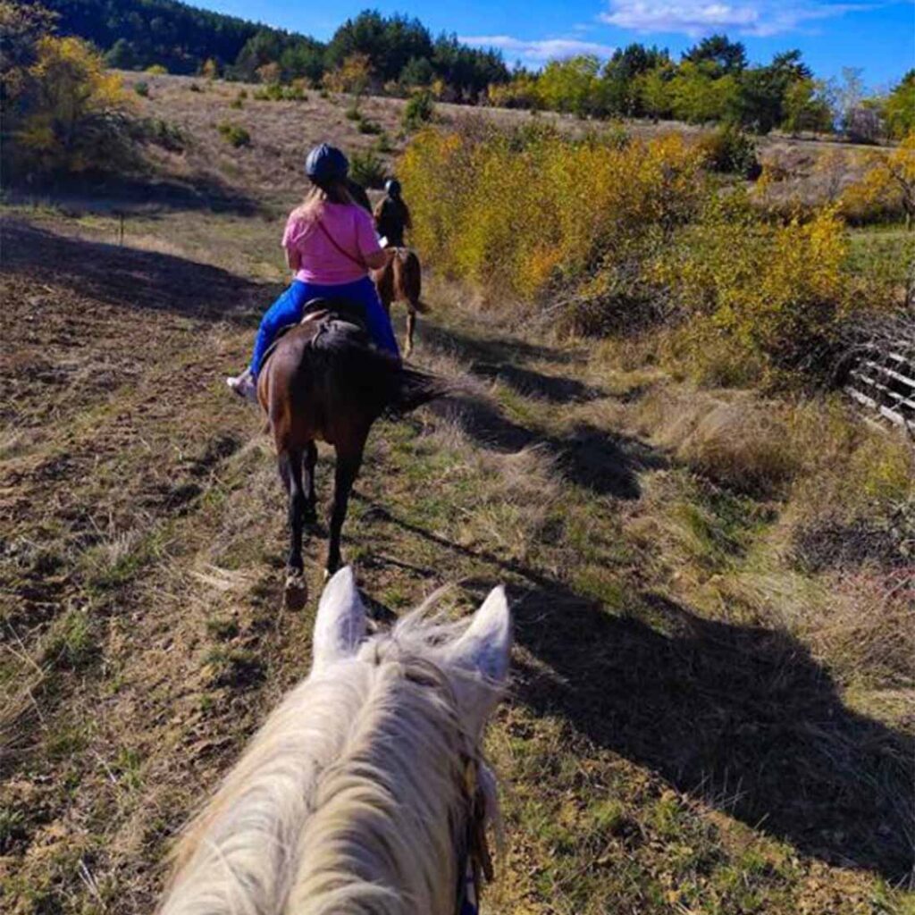 Јавање коњи низ малешевски шуми