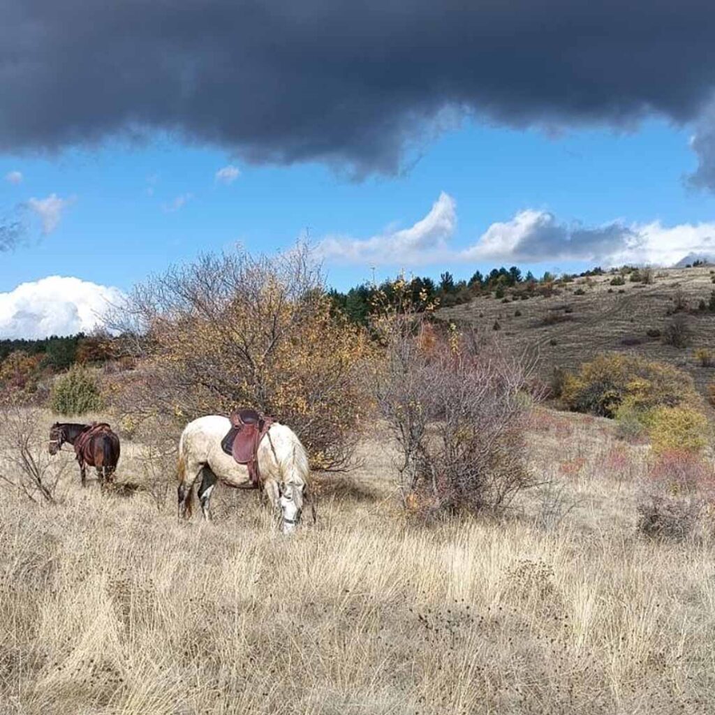 Слобода во Малешевијата