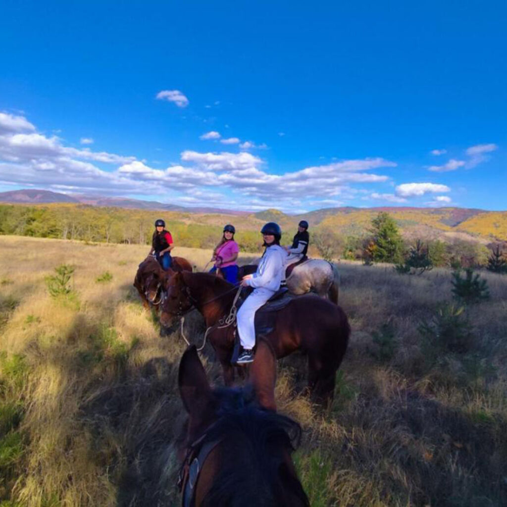 Забавно групно јавање со водич