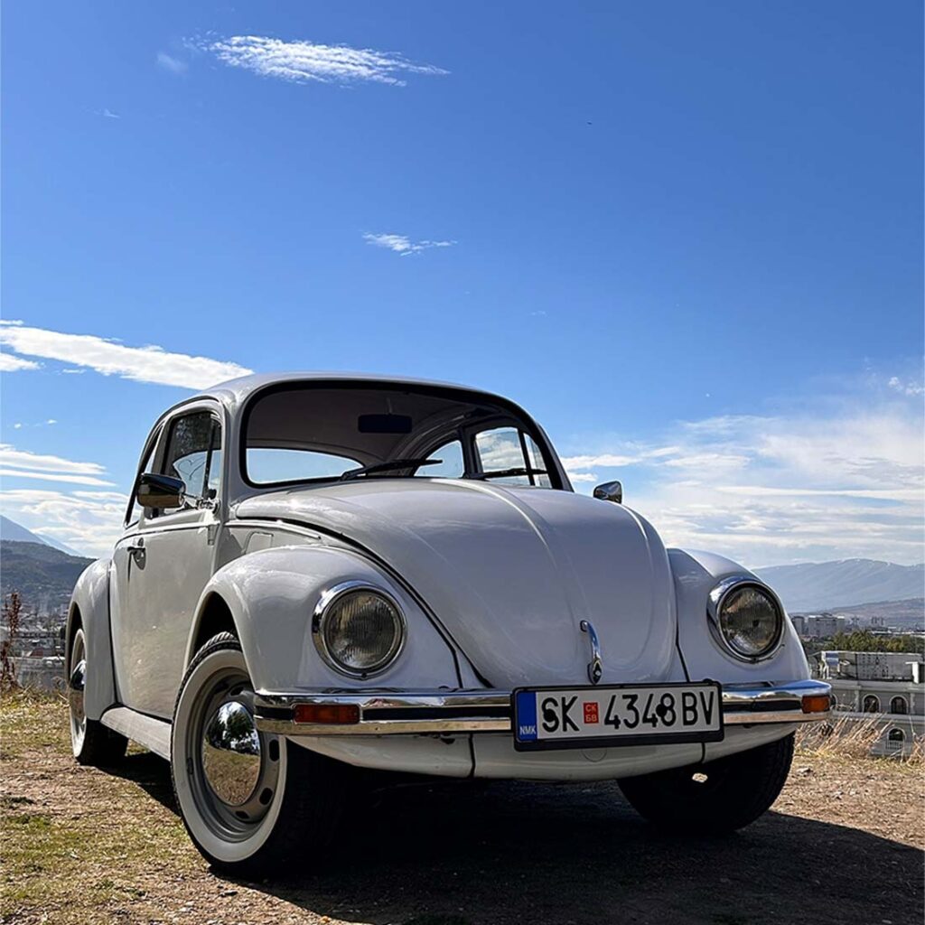 Возење со буба во околината на Скопје