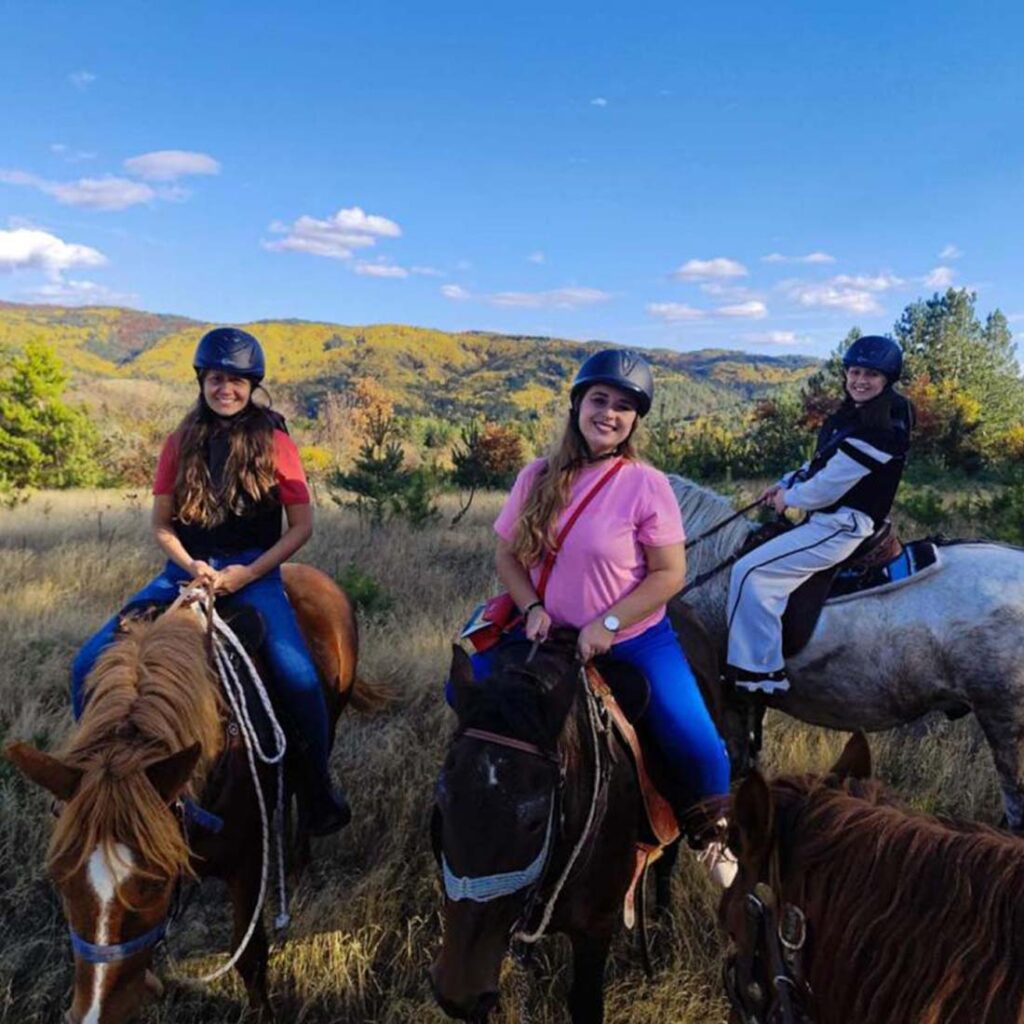 Чувствувај ја врската со коњот