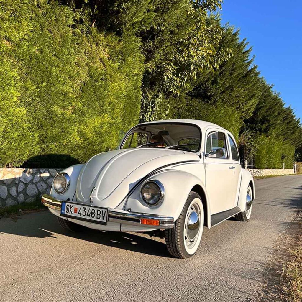 Купи ваучер за фотосесија со бела буба