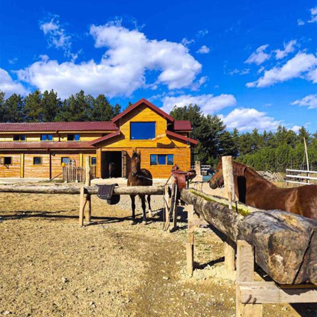 Ранч со коњи спремни за прошетка