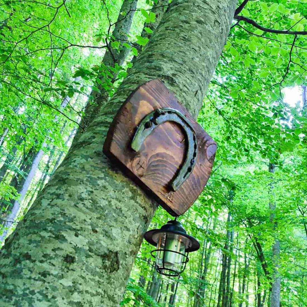 Потковица во планинска прашина