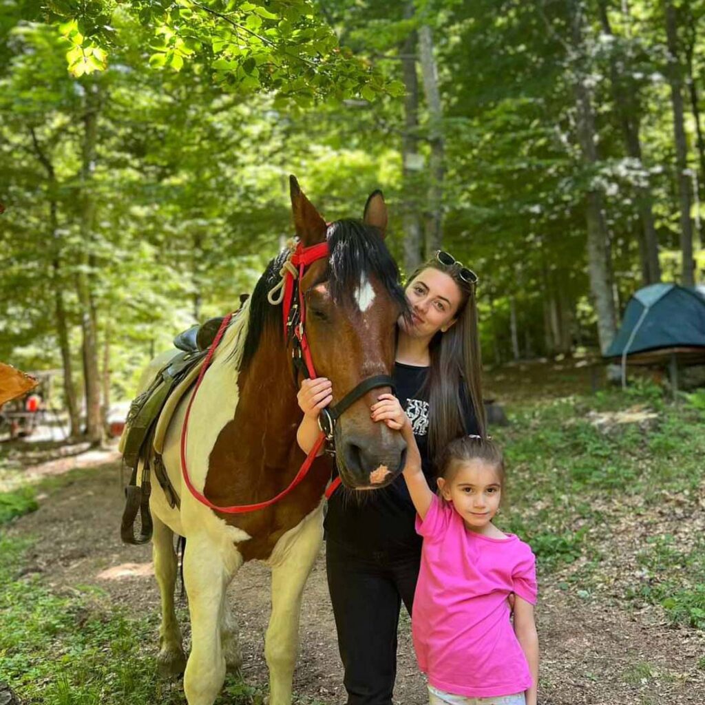 Дружба и галење со коњ