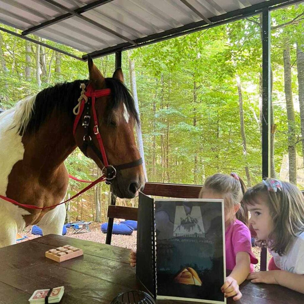 Децата и коњите