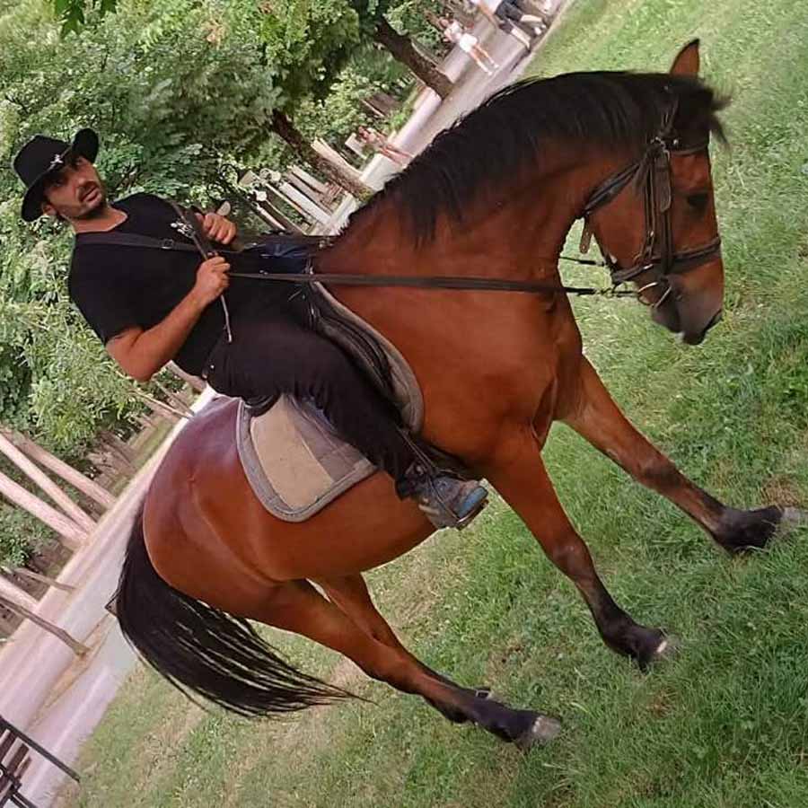 Оседлај и истражувај сега!