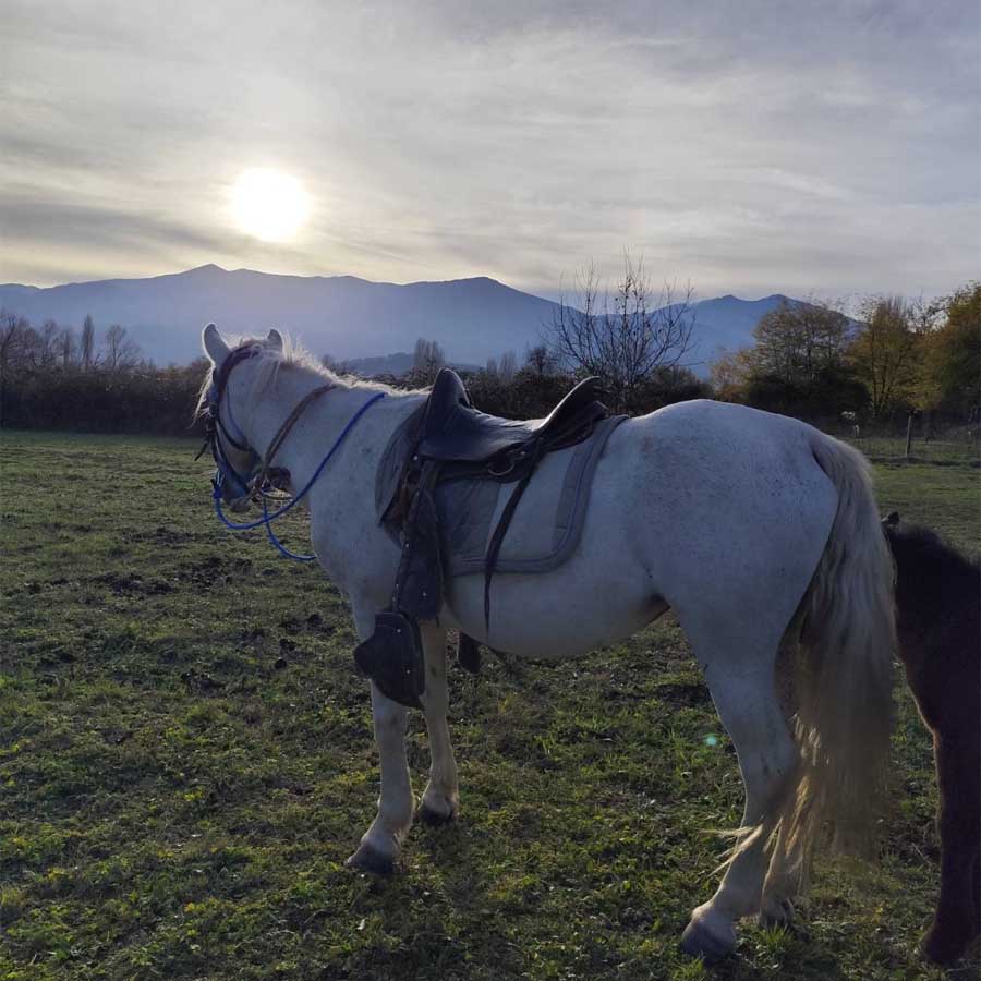 Планински воздух, цел ден авантура