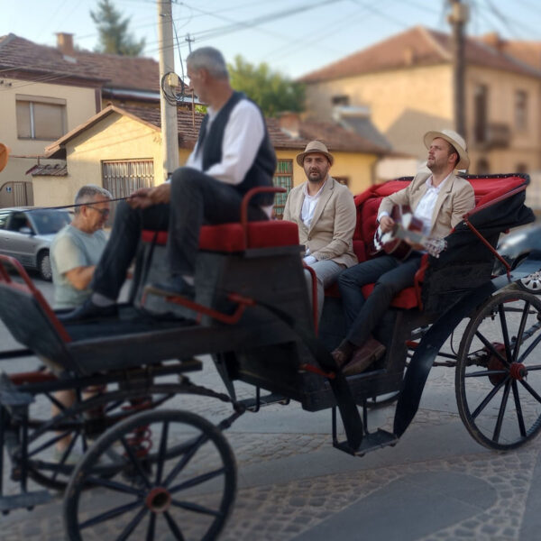 vozenje-pajton-bitola