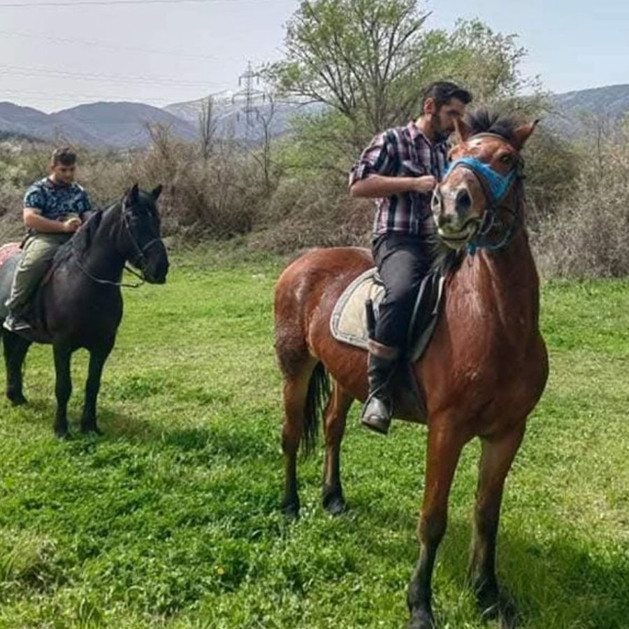 Авантура со коњ, чист воздух