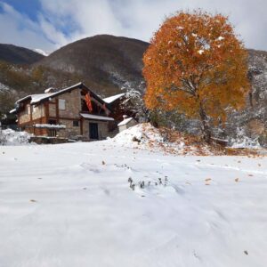 Ваучер за планинска слобода