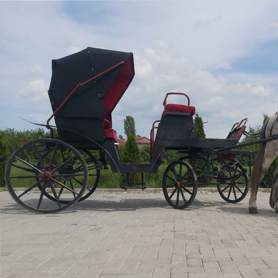 Семејна авантура со пајтон Битола