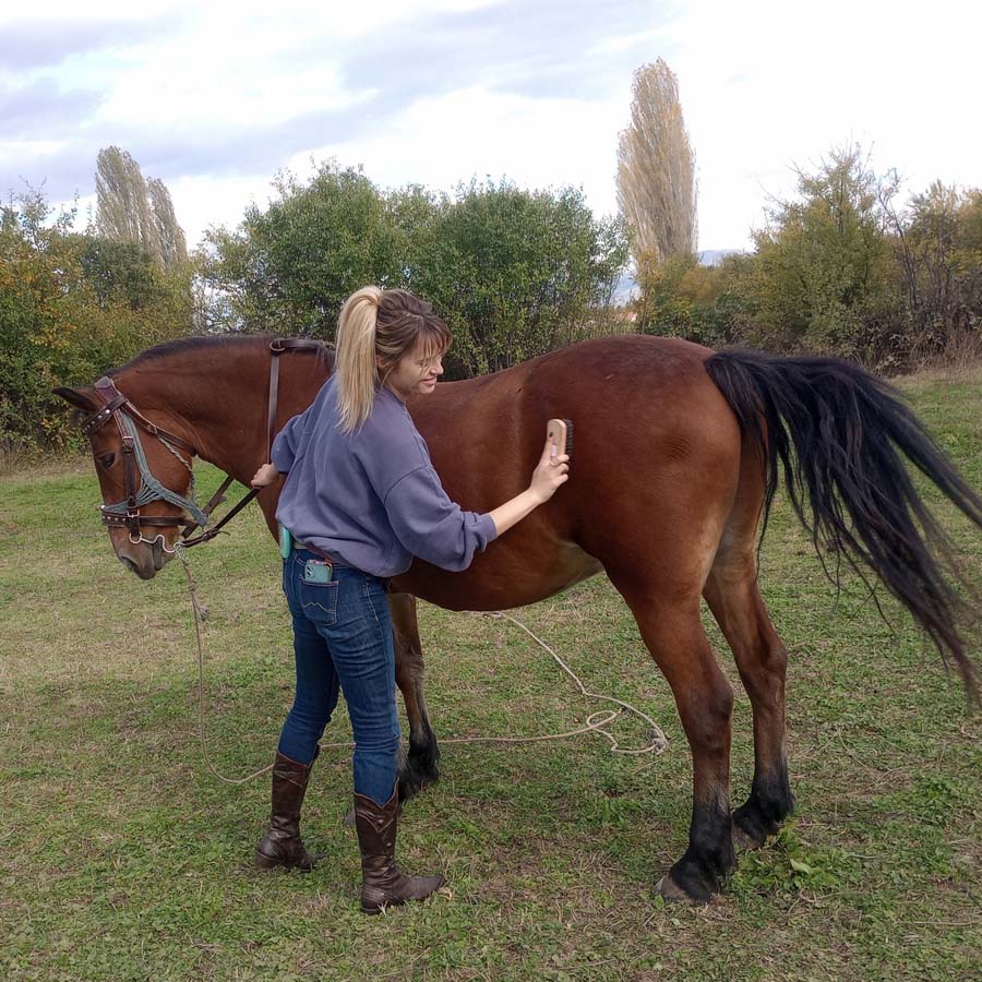 Коњи на прошетка низ македонска природа