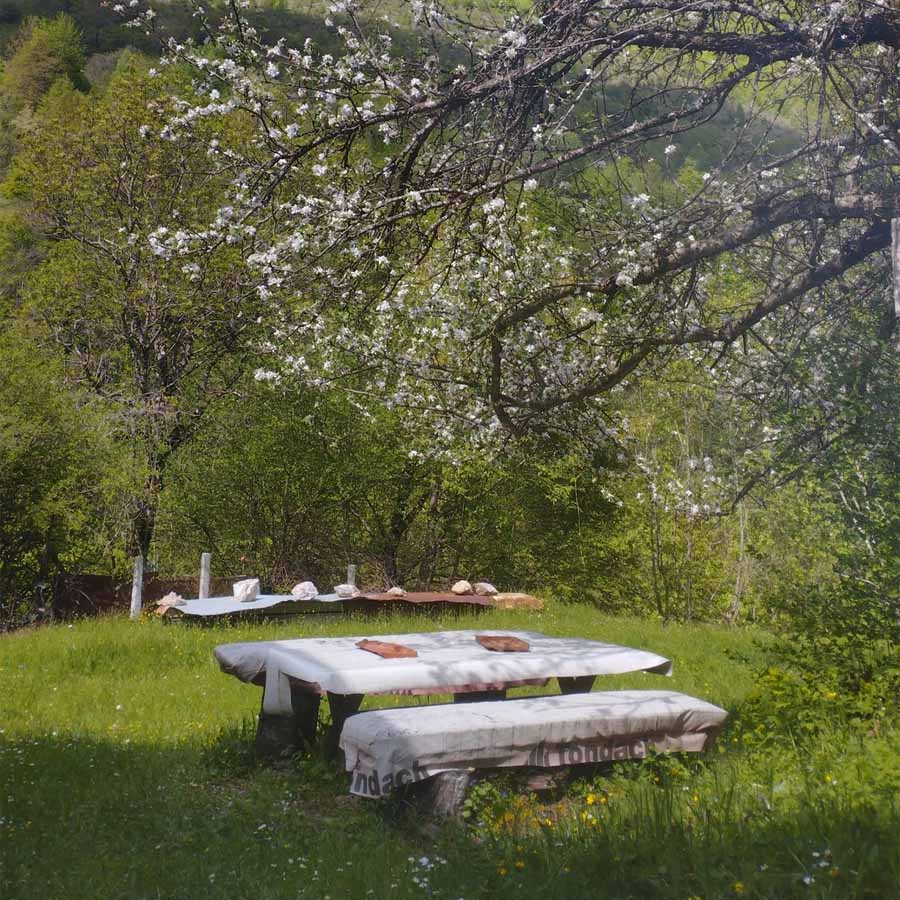 Летно доживување, свеж планински воздух