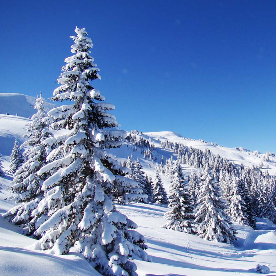 Зимска магија на македонските врвови