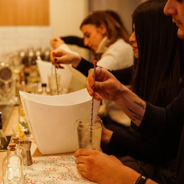 rabotilnica-za-kokteli-skopje-shake-and-sip