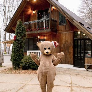 Планинска вила Алек на Пониква