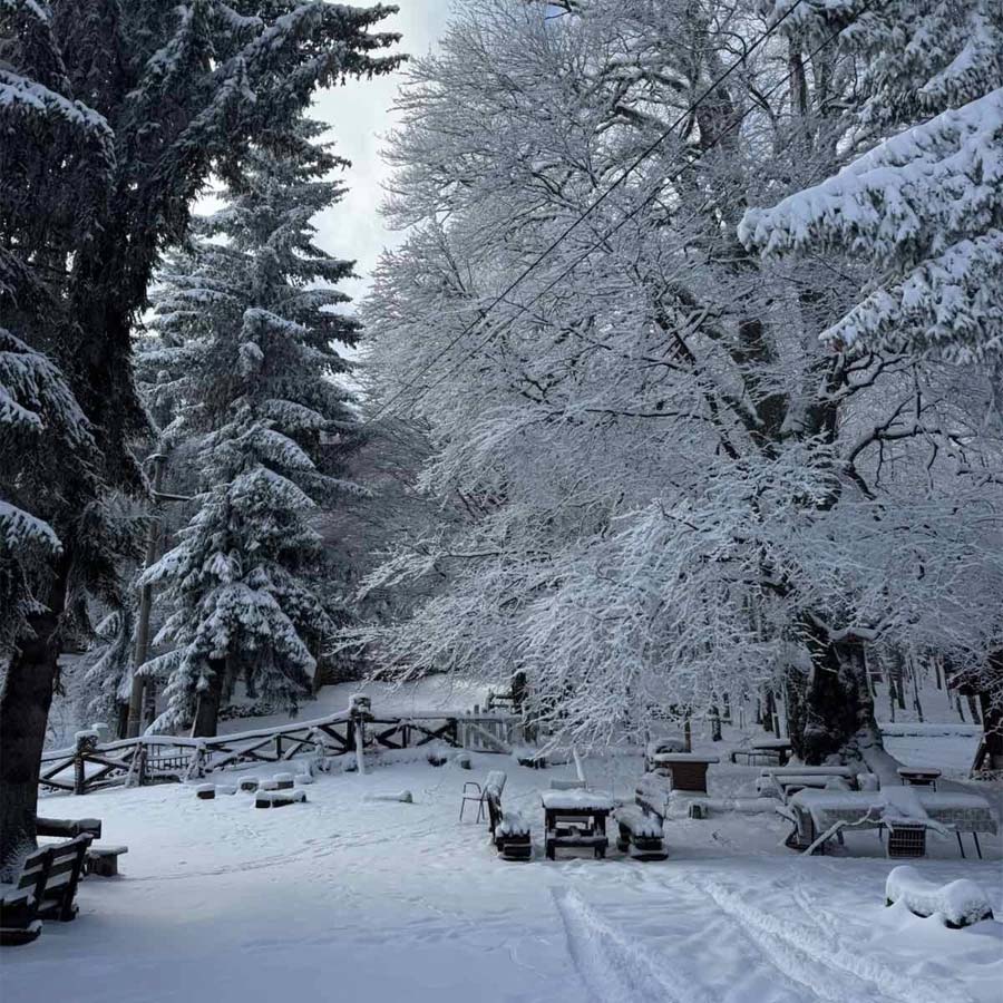 Превоз со џип низ планински снег