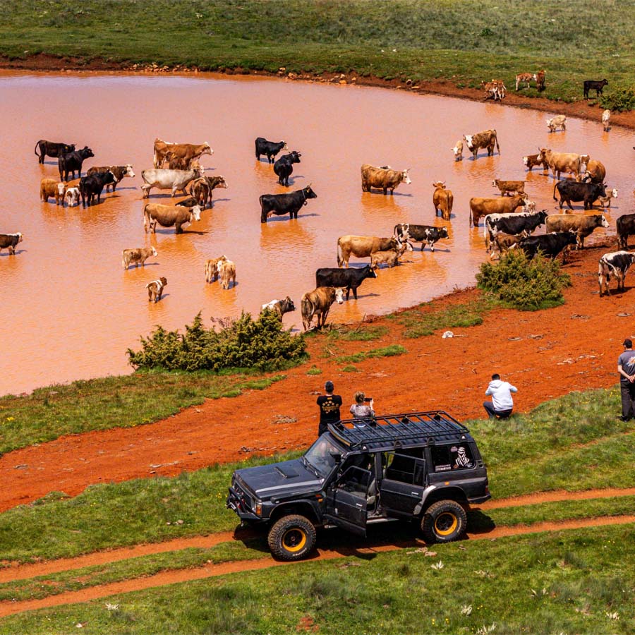 Теренско возило на планинска патека.