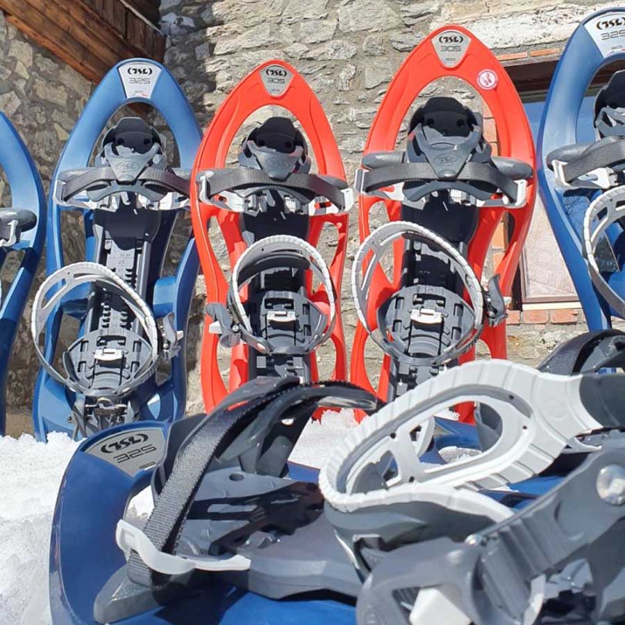 Тура со Snowshoes