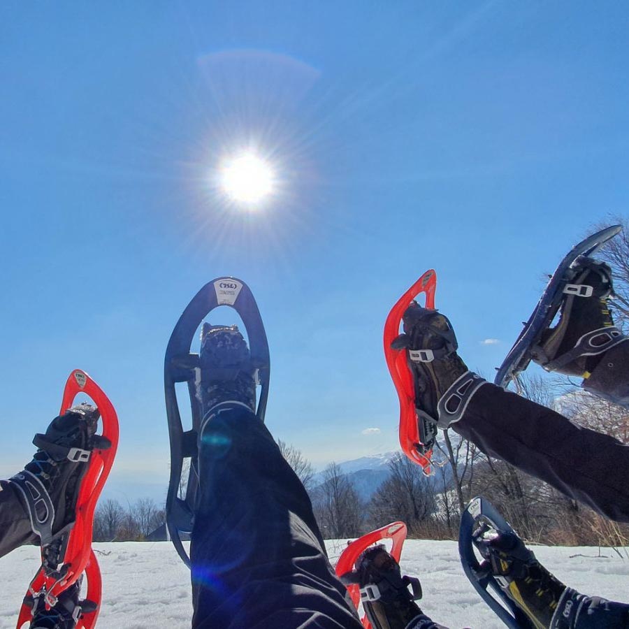 Зимска магија со дрезги