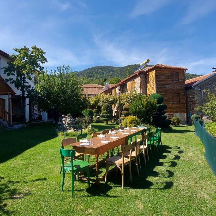 Уживање во зеленилото на дворот.