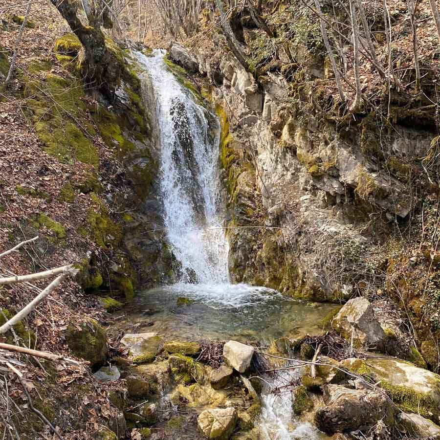 Зелени пејзажи и патеки за шетање