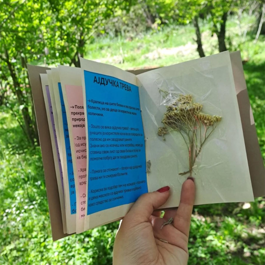 Зелени планински падини на Јабланица