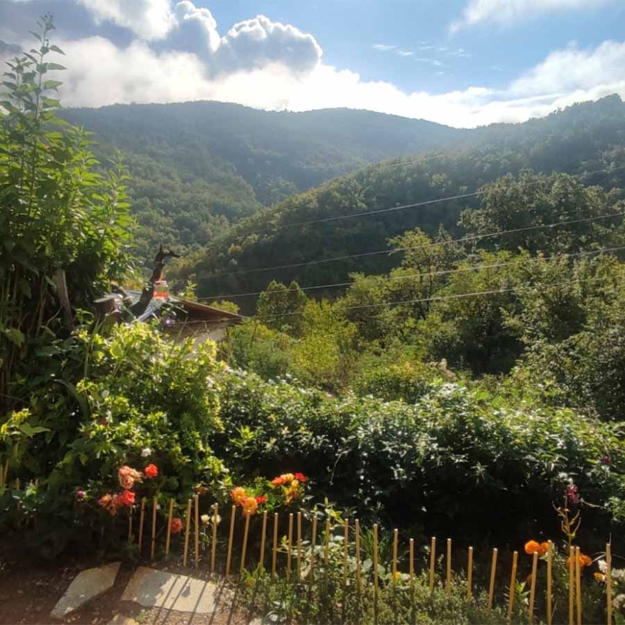 Релаксација во природа