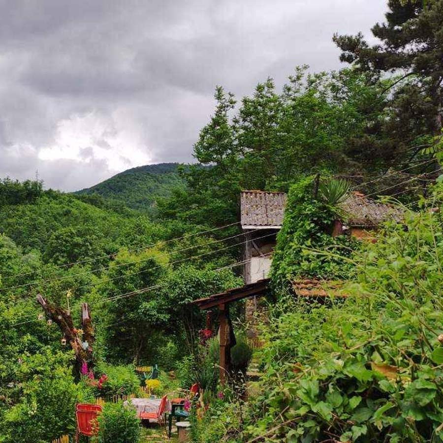 Зелена шумска патека на планината Јабланица.