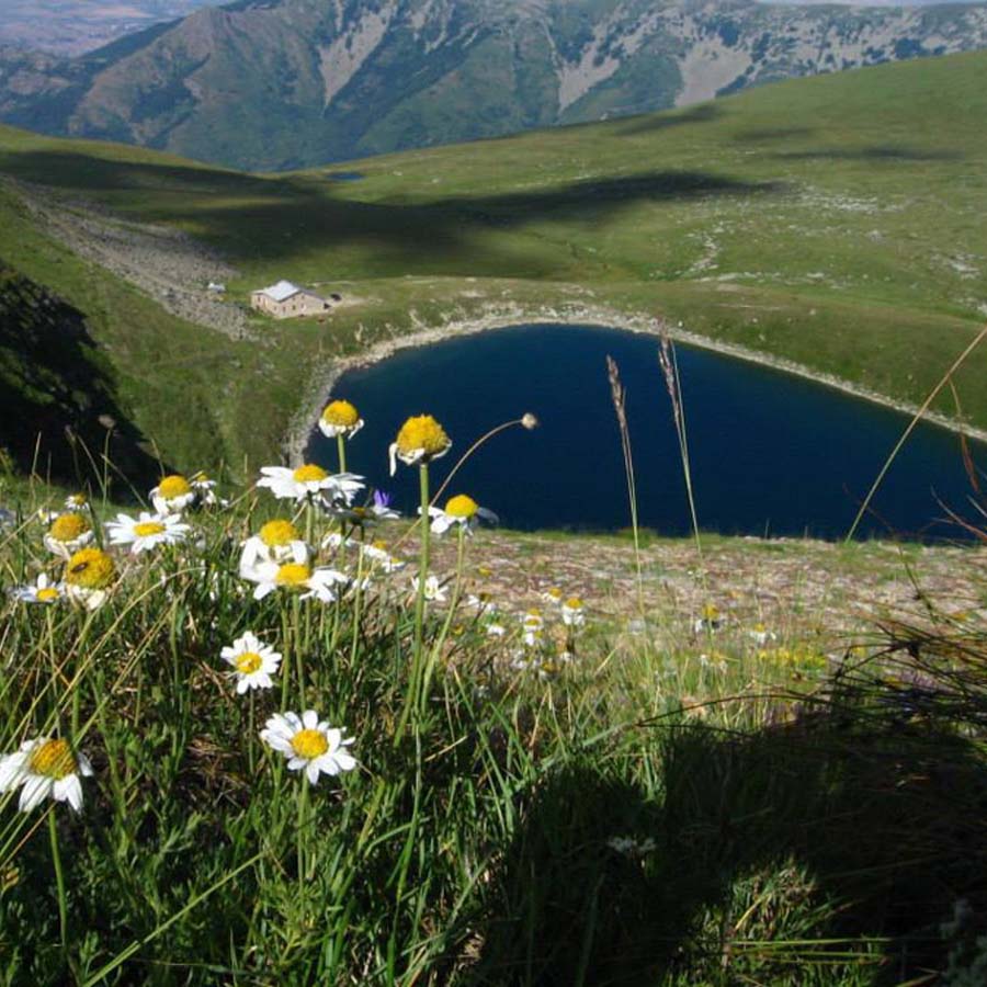 Пелистерски Очи низ планинска панорама
