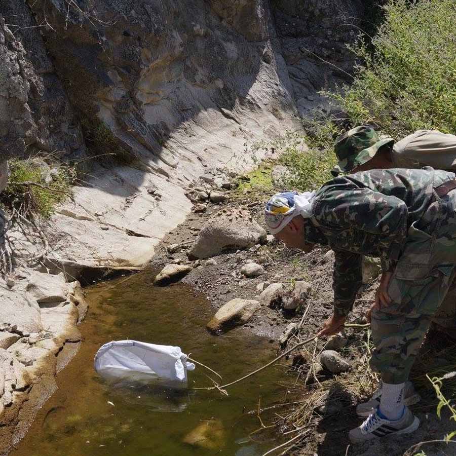 Импровизирана замка за риби