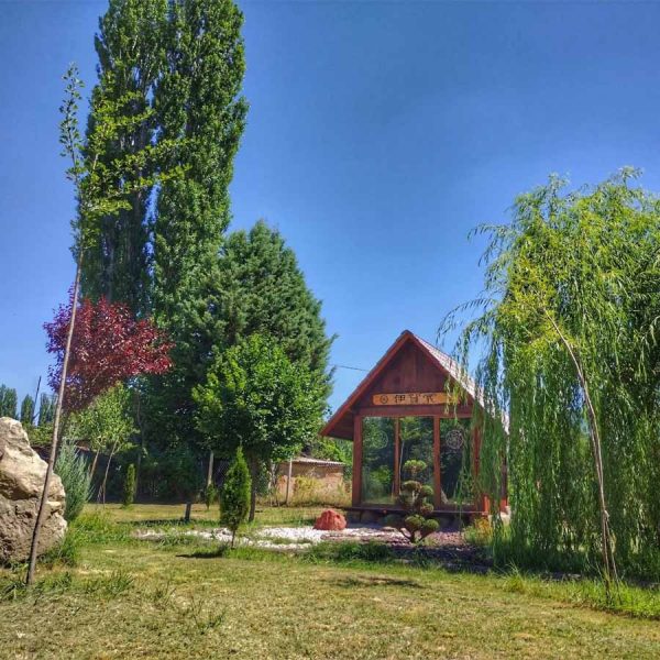 nokjevanje-japonska-zen-gradina-dovezence-kumanovo
