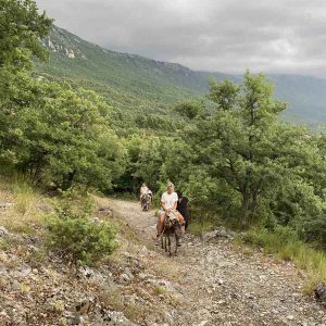 Прошетка со магариња низ природата.