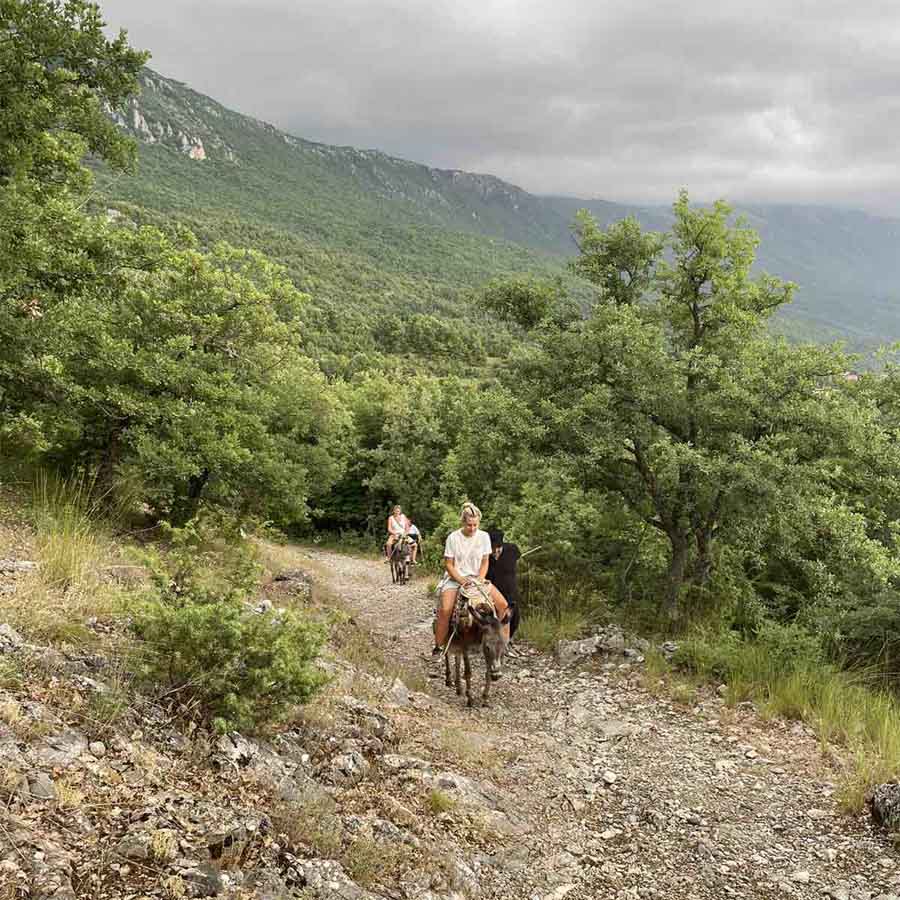 Прошетка со магариња низ природата.