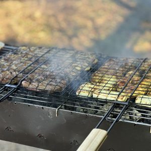 Пикник зона со скара и дружење.