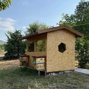 Природна апитерапија за здравје и имунитет