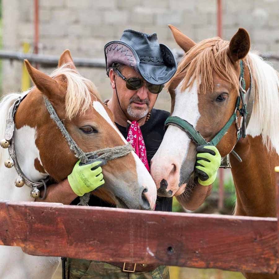 Уживање и релаксација со коњи во Демир Хисар.