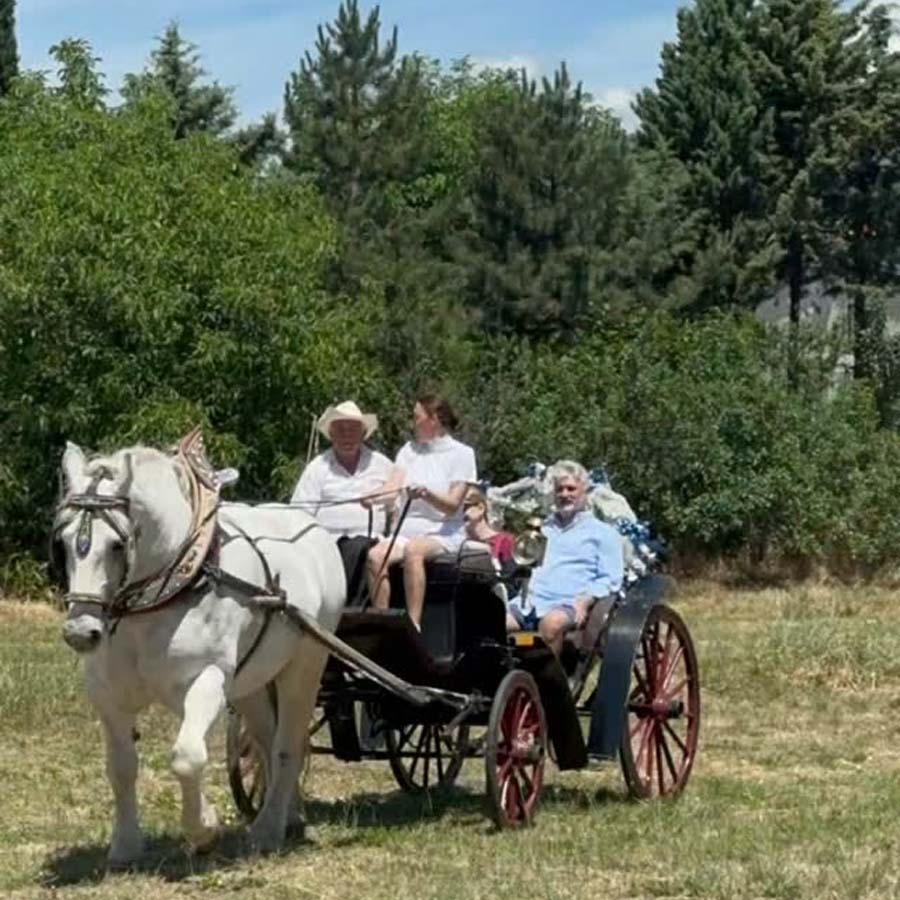 Возење со пајтон за двајца